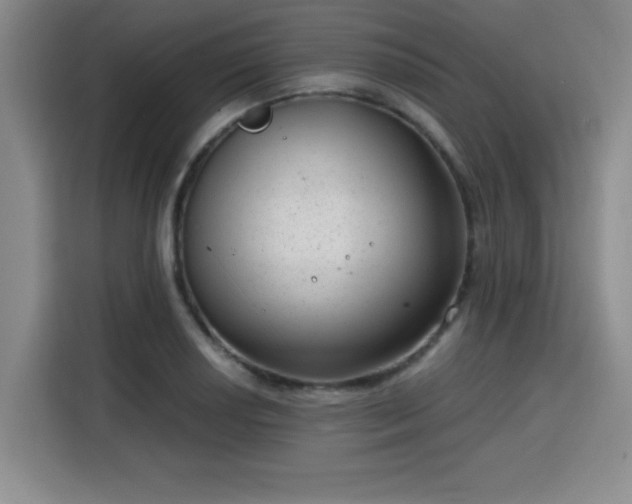 X0000115821034200911201441