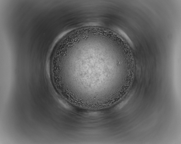 X0000115821035200911201441