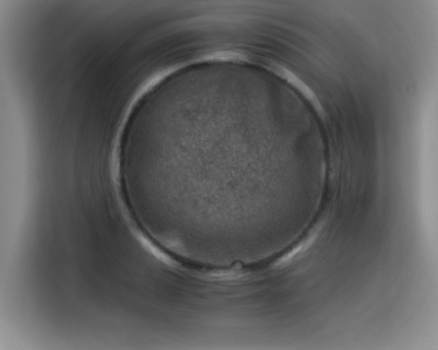 X0000115821037200911201441