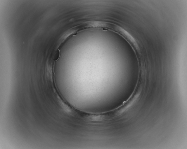 X0000115821041200911201441