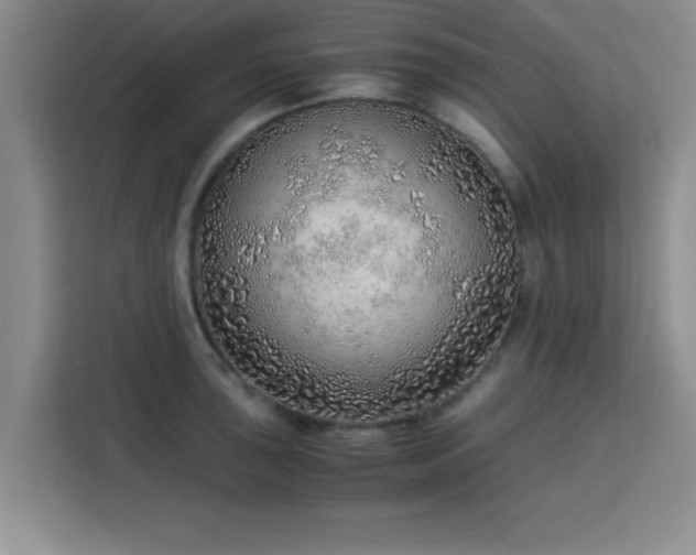 X0000115821043200911201441