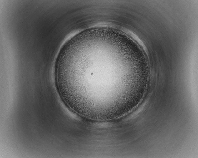 X0000115821045200911201441