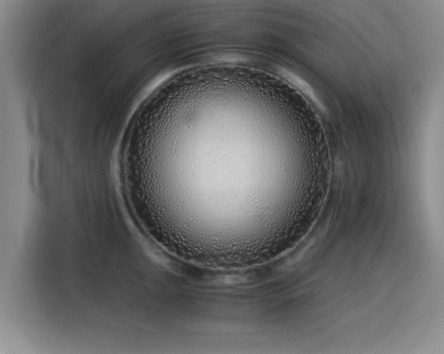 X0000115821047200911201441