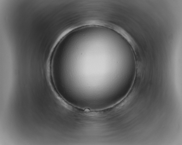 X0000115821048200911201441