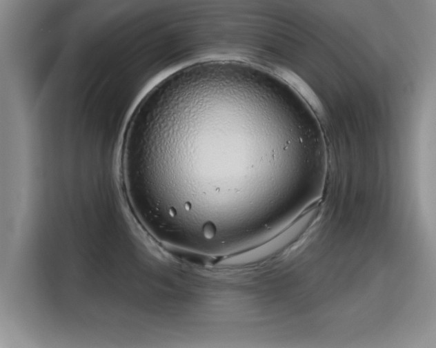 X0000115821052200911201441