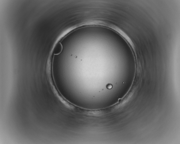 X0000115821053200911201441