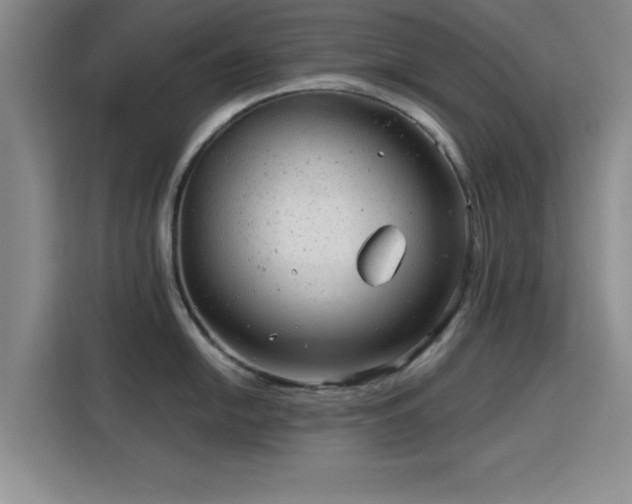 X0000115821054200911201441