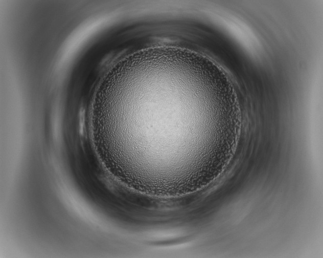 X0000115821055200911201441