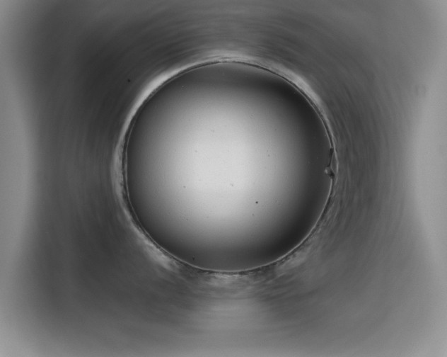 X0000115821056200911201441