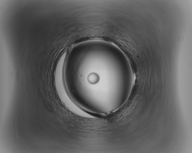 X0000115821057200911201440