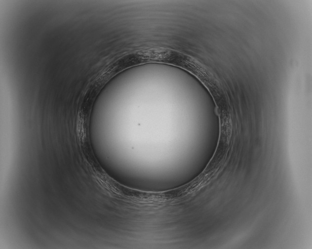 X0000115821058200911201440