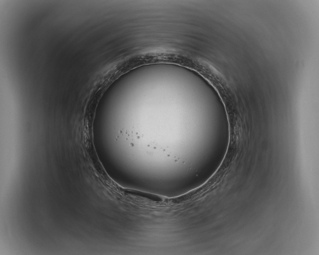 X0000115821062200911201440