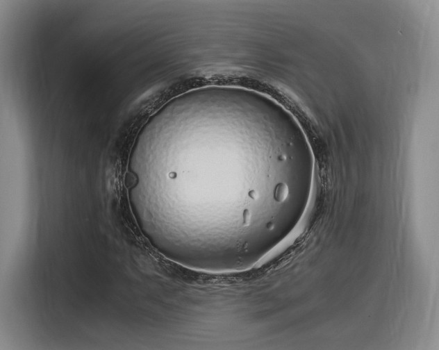 X0000115821063200911201440