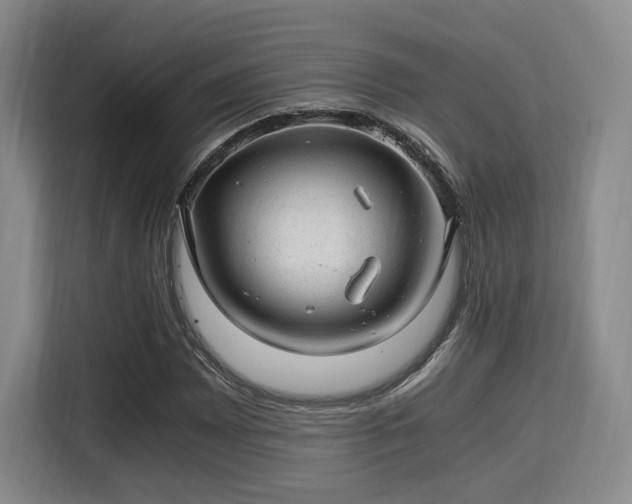 X0000115821065200911201440