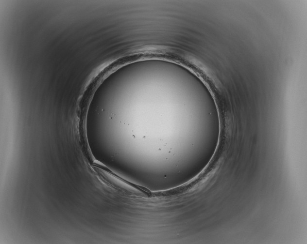 X0000115821066200911201440