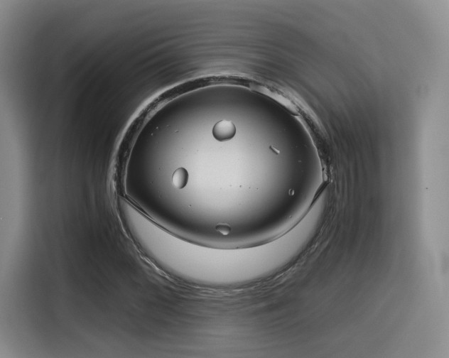 X0000115821068200911201440