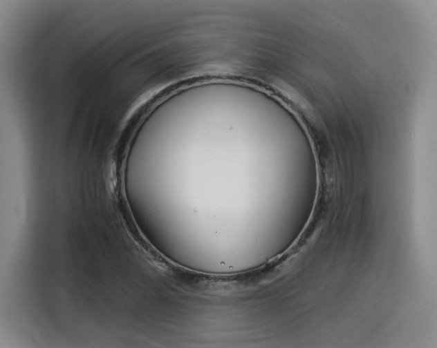 X0000115821070200911201440