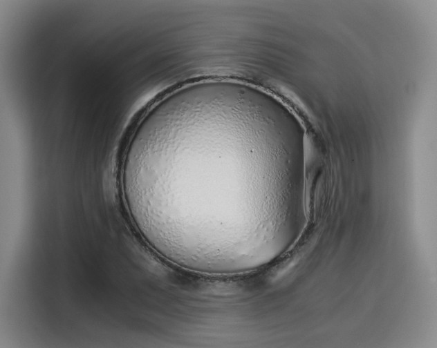 X0000115821071200911201440