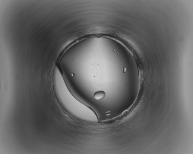 X0000115821073200911201440