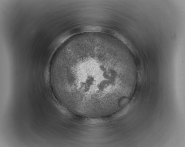 X0000115821074200911201440