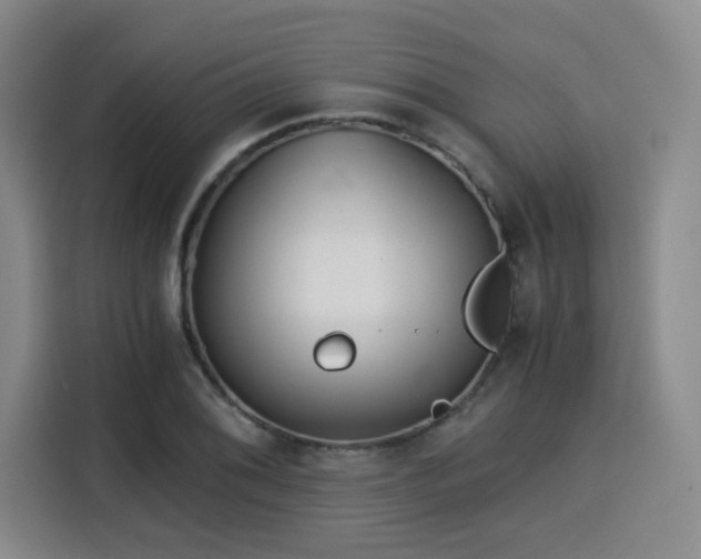 X0000115821076200911201440