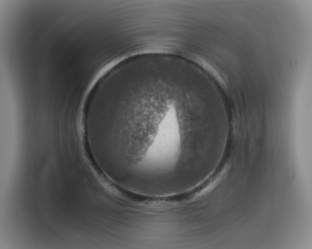 X0000115821077200911201440