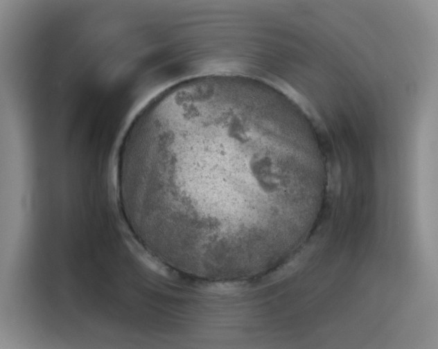 X0000115821078200911201440