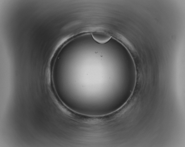 X0000115821079200911201440