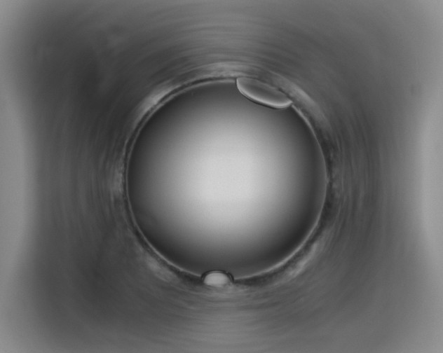 X0000115821081200911201440