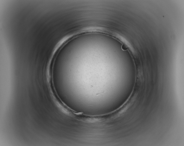 X0000115821082200911201440