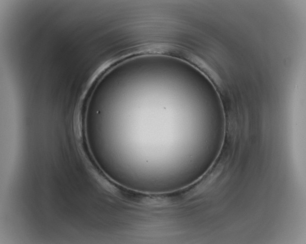 X0000115821083200911201440