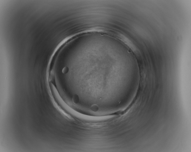 X0000115821084200911201440