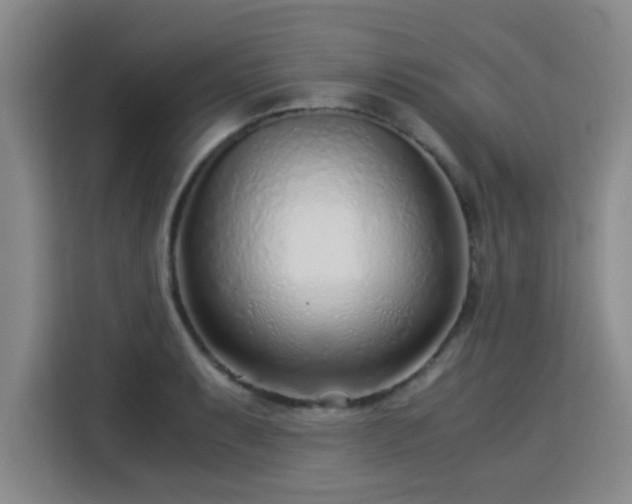 X0000115821087200911201440