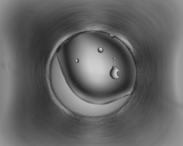 X0000115821088200911201440