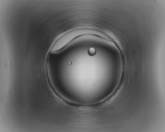 X0000115821089200911201440