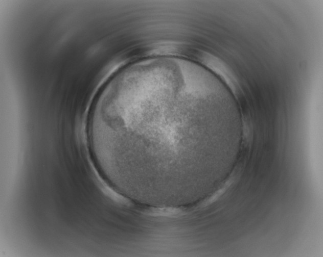 X0000115821090200911201440