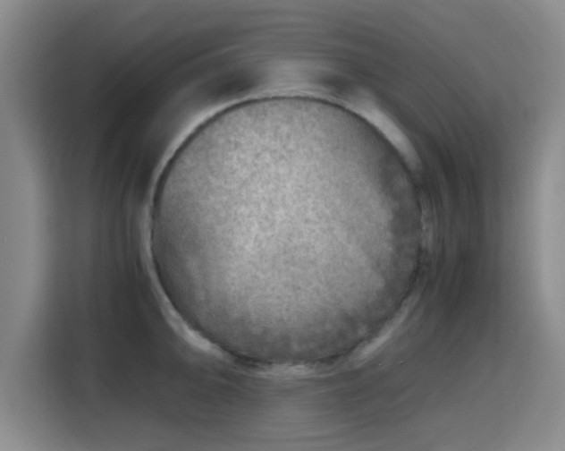 X0000115821094200911201440