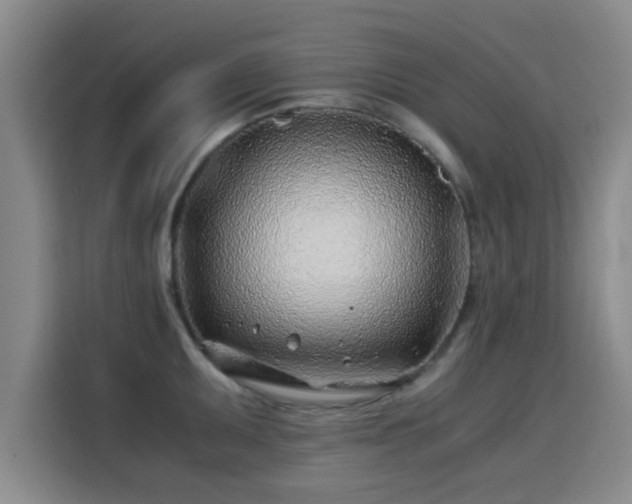 X0000115821095200911201440