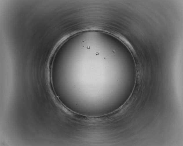 X0000115821096200911201440