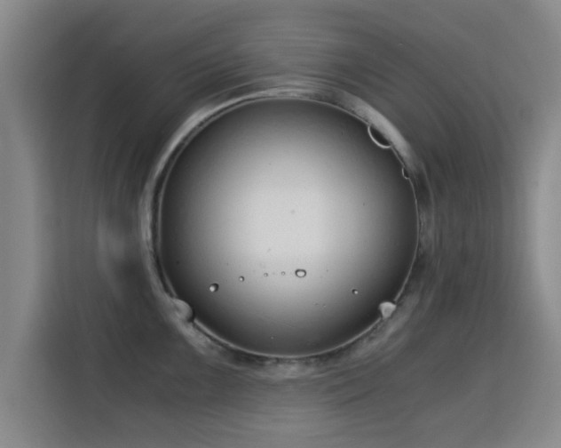 X0000115821099200911201440