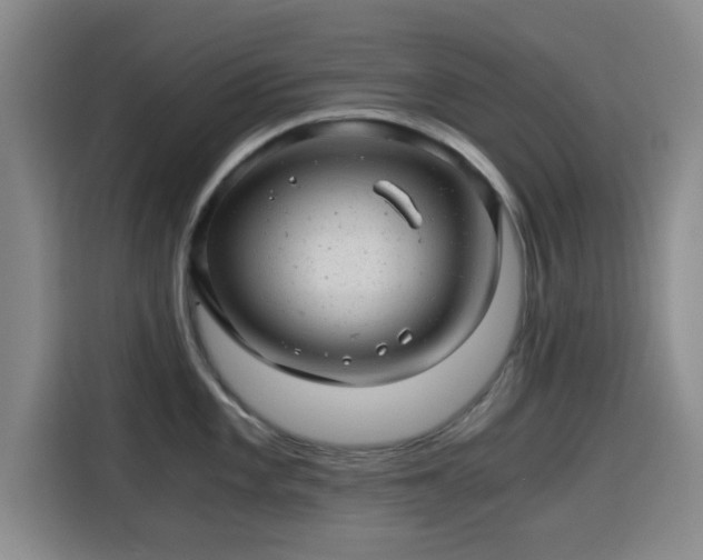 X0000115821101200911201440