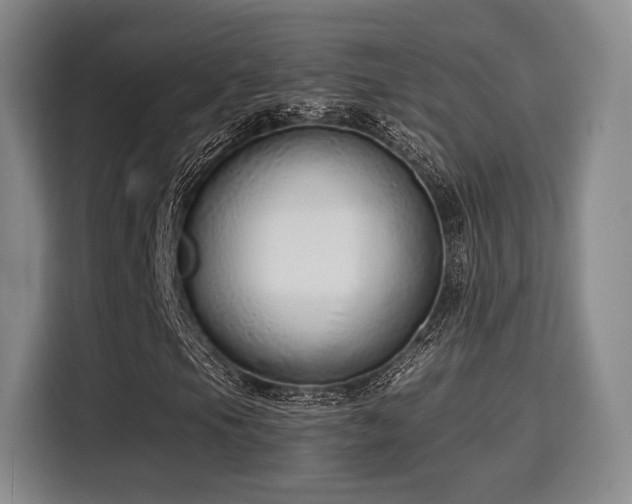 X0000115821105200911201439