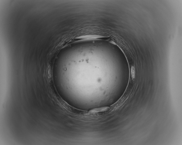 X0000115821107200911201439