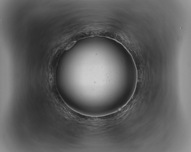 X0000115821109200911201439