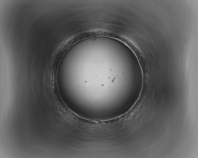 X0000115821111200911201439