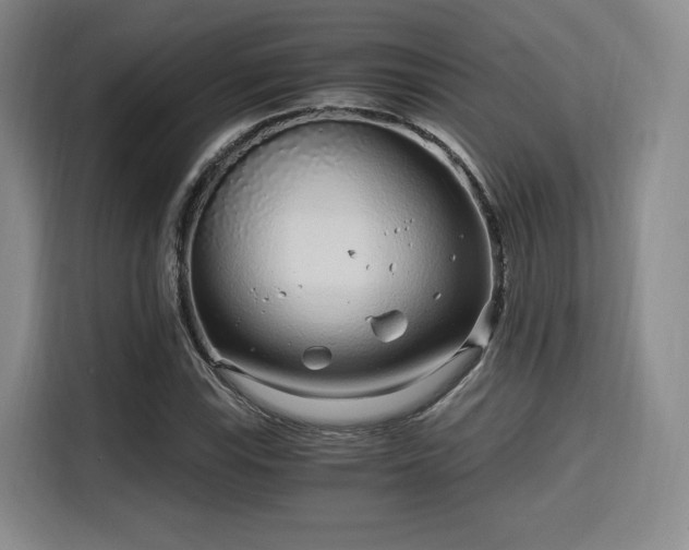 X0000115821115200911201439