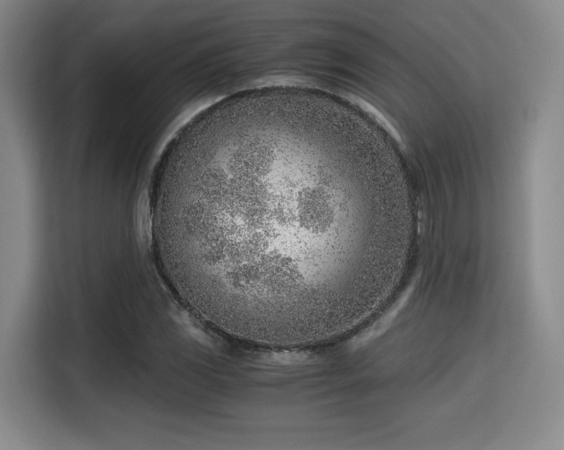 X0000115821117200911201439