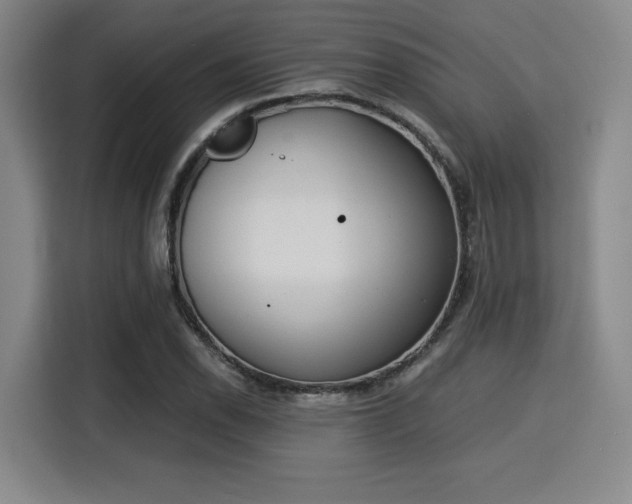 X0000115821118200911201439