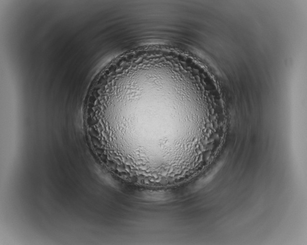 X0000115821121200911201439