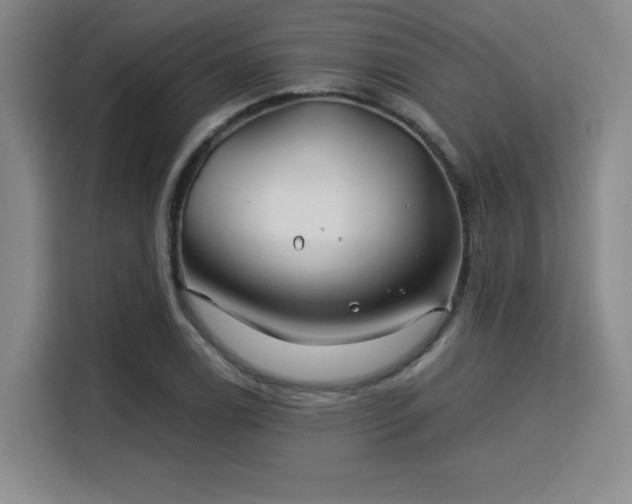 X0000115821122200911201439